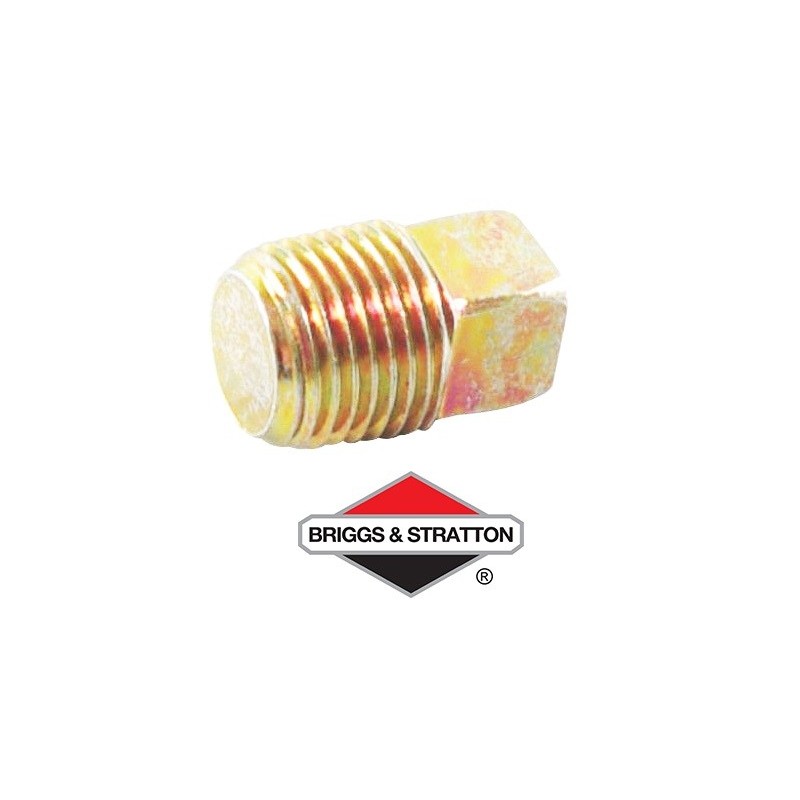 Bouchon BRIGGS & STRATTON - 794903