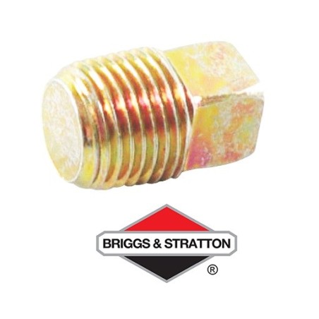 Bouchon BRIGGS & STRATTON - 794903