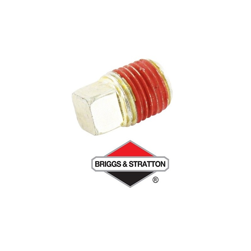 Bouchon BRIGGS & STRATTON - 691686