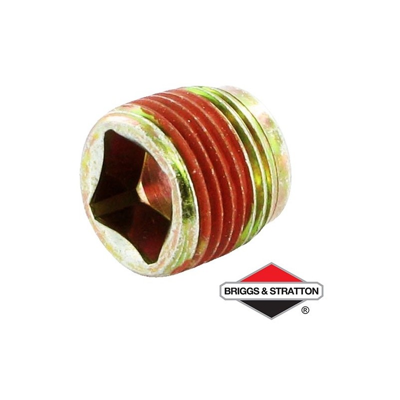 Bouchon BRIGGS & STRATTON - 691680