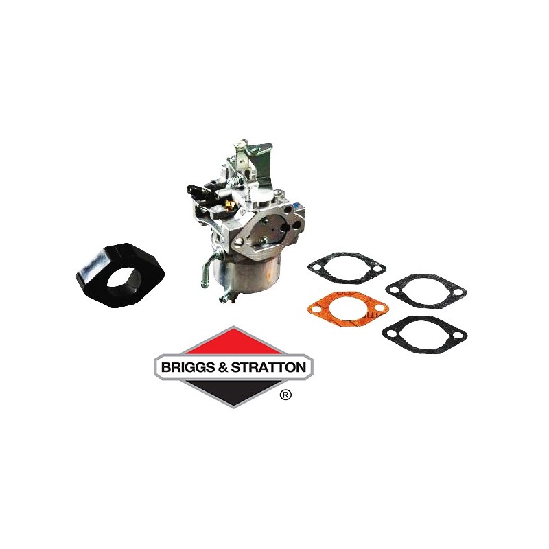 Carburateur BRIGGS & STRATTON - 715668
