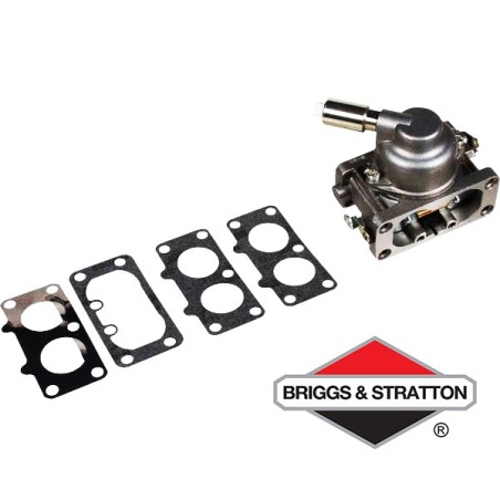 Carburateur BRIGGS & STRATTON - 792295