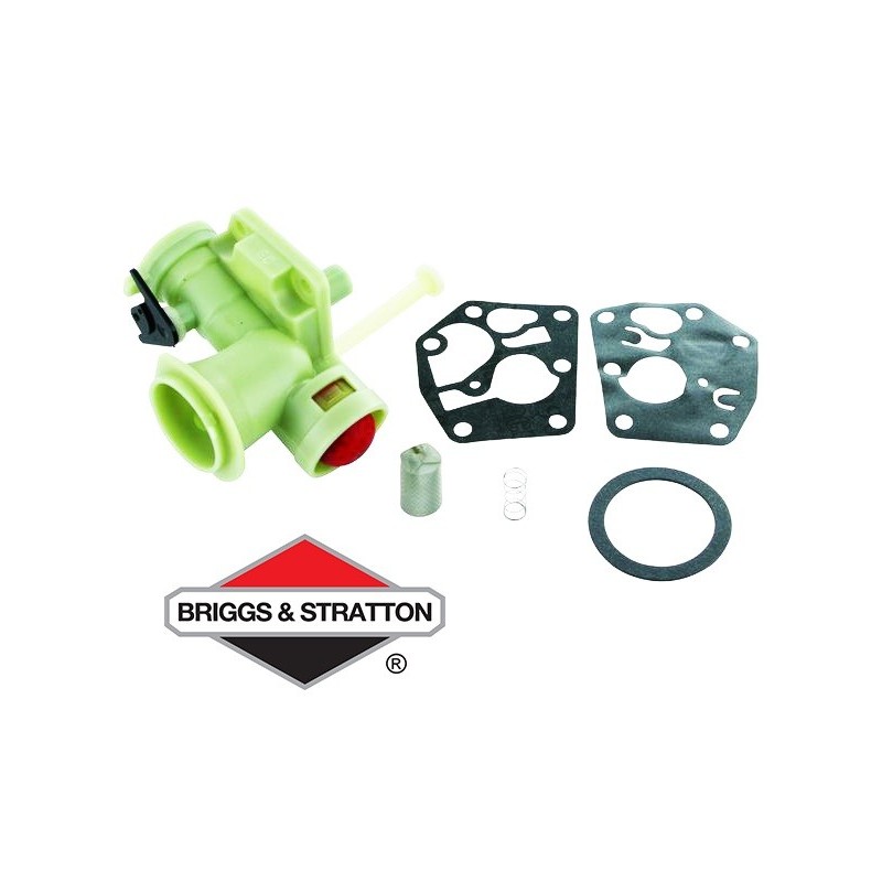 Carburateur BRIGGS & STRATTON - 795477