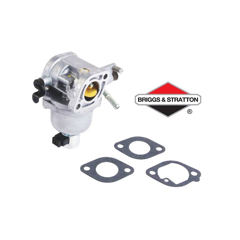 Carburateur BRIGGS & STRATTON - 699807