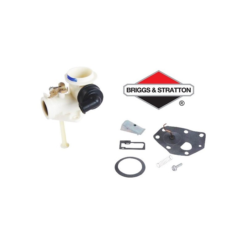 Carburateur BRIGGS & STRATTON - 395375