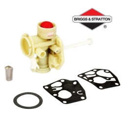 Carburateur adaptable BRIGGS & STRATTON - 798758