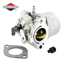 Carburateur BRIGGS & STRATTON - 799728