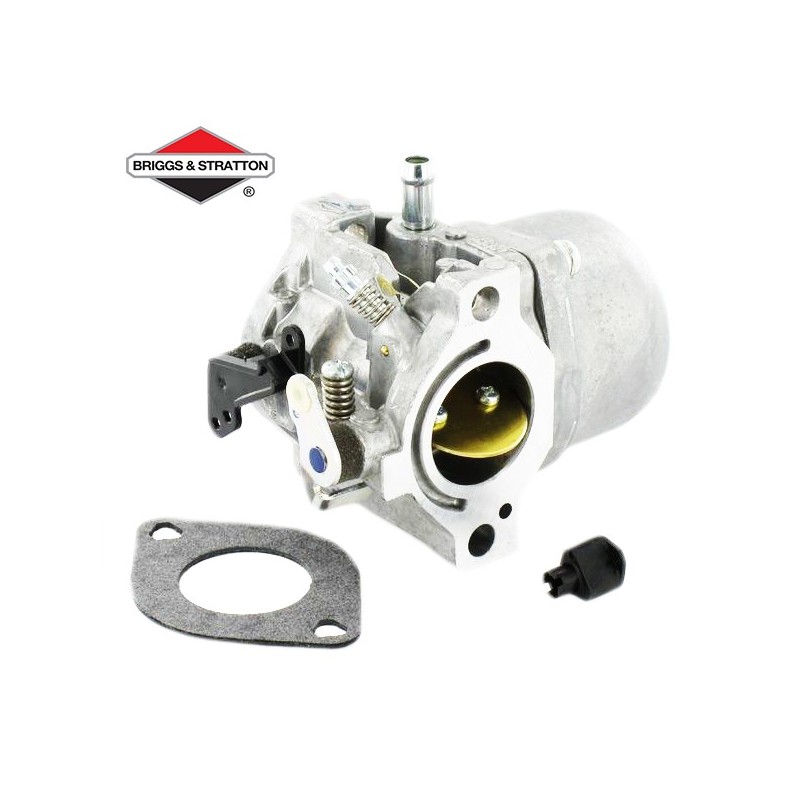 Carburateur BRIGGS & STRATTON - 799728