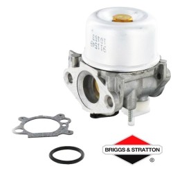 Carburateur BRIGGS & STRATTON - 799869