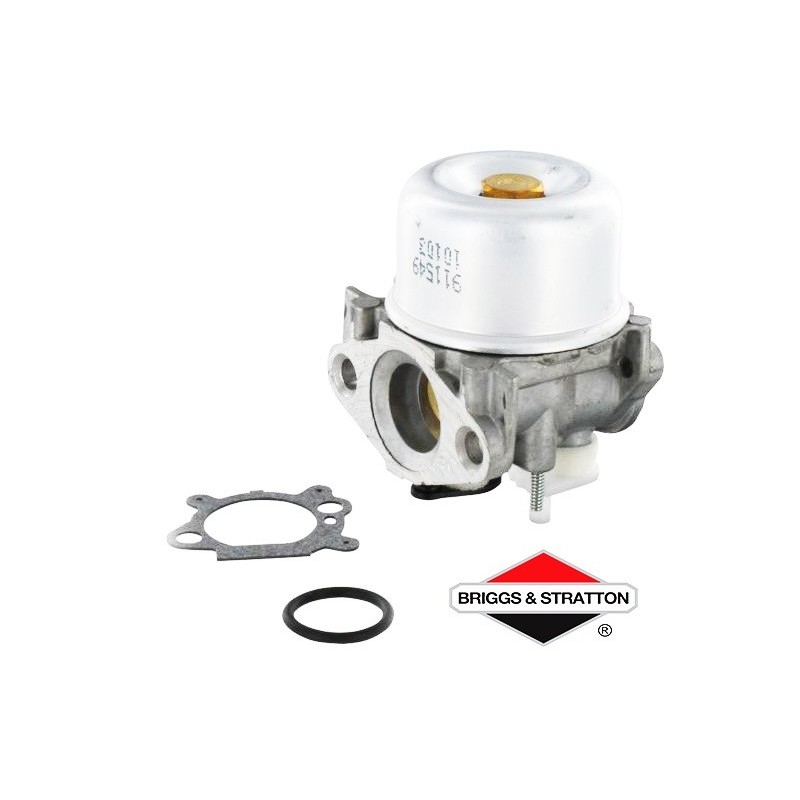 Carburateur BRIGGS & STRATTON - 799869