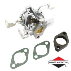 Carburateur BRIGGS & STRATTON - 715520