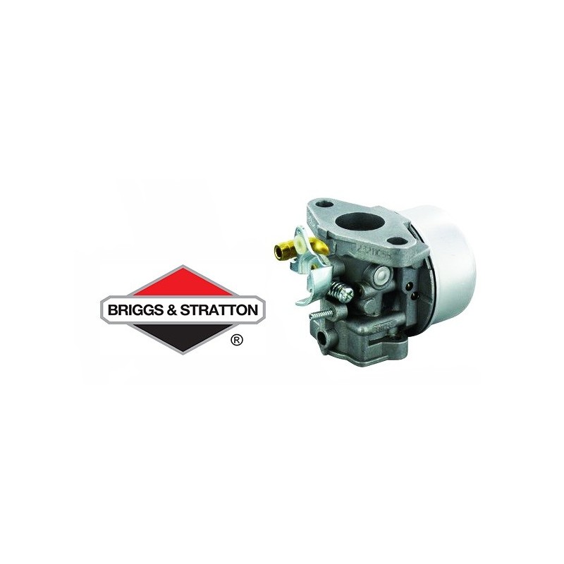 Carburateur BRIGGS & STRATTON - 798653