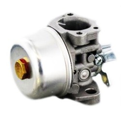Carburateur - 697914