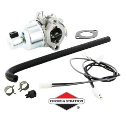 Carburateur BRIGGS & STRATTON - 791889