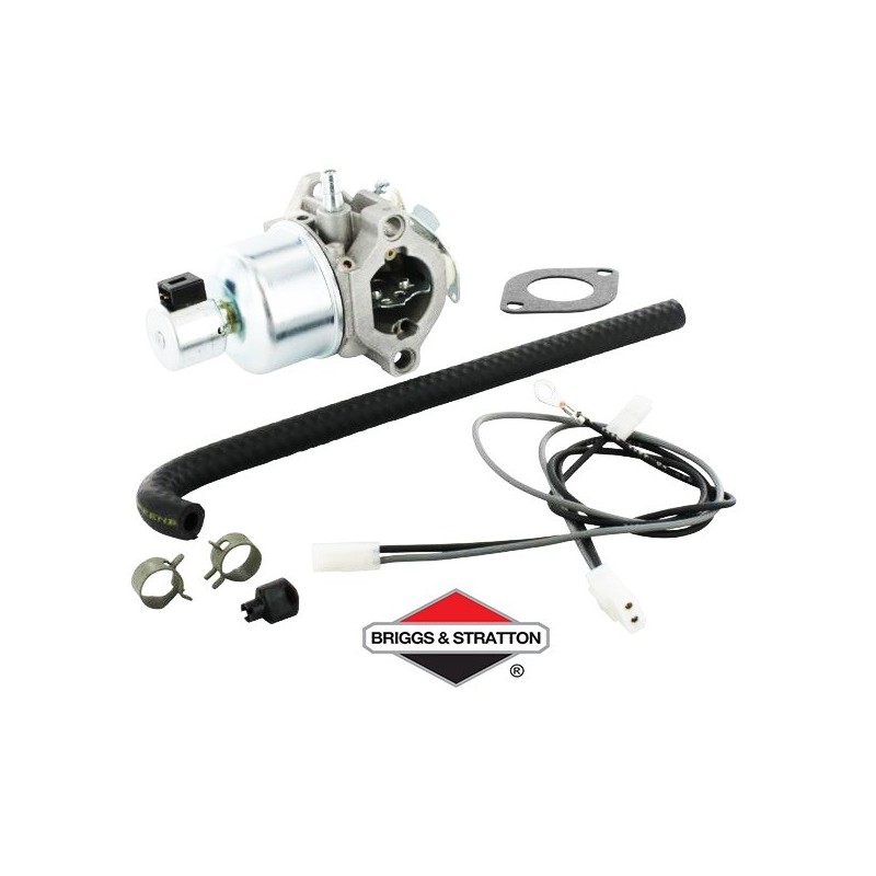 Carburateur BRIGGS & STRATTON - 791889