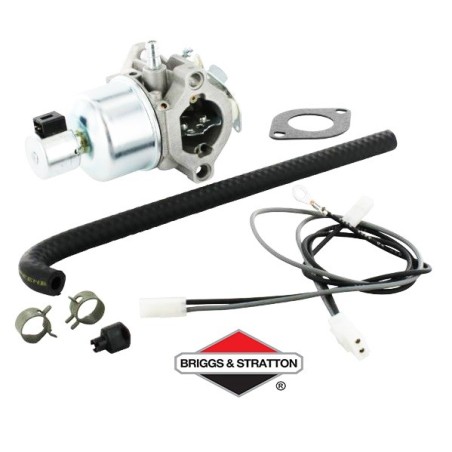 Carburateur BRIGGS & STRATTON - 791889