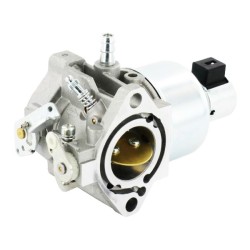 Carburateur - 697914