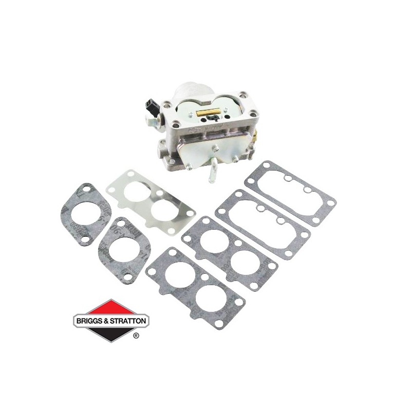 Carburateur BRIGGS & STRATTON - 791230