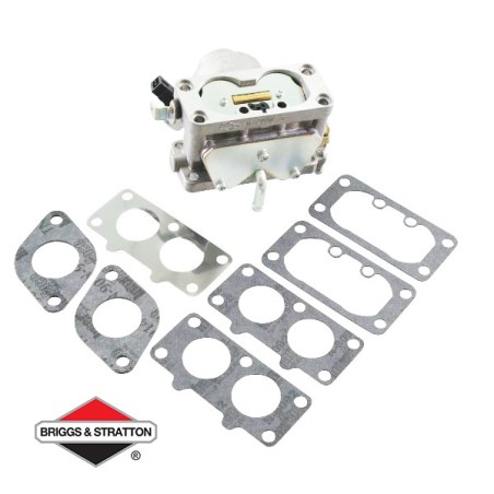 Carburateur BRIGGS & STRATTON - 791230
