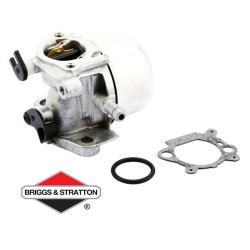 Carburateur adaptable BRIGGS & STRATTON - 799871
