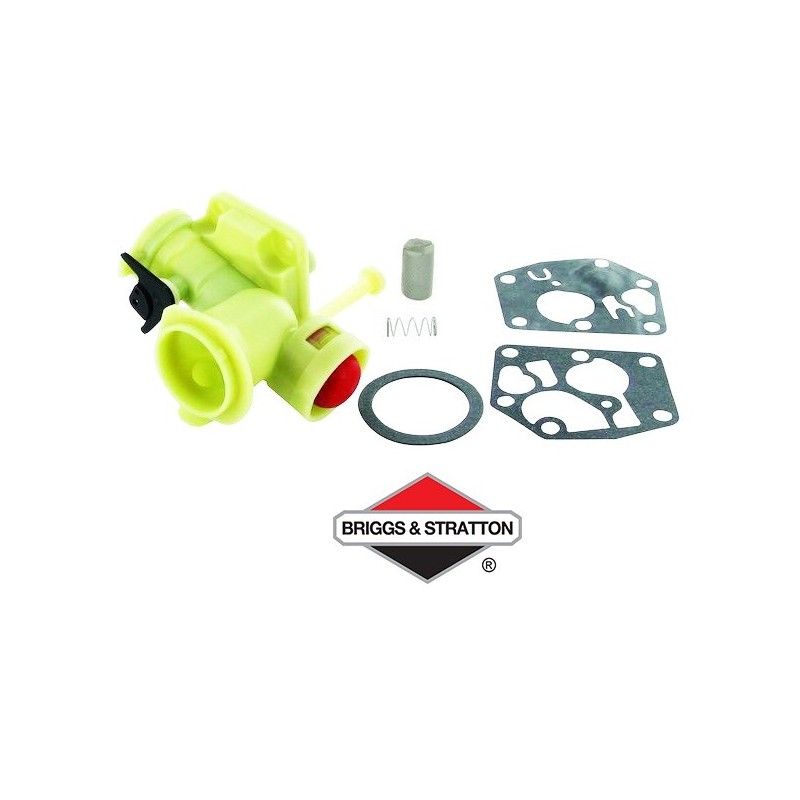 Carburateur BRIGGS & STRATTON - 498809