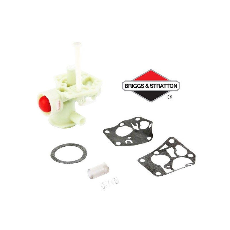 Carburateur BRIGGS & STRATTON - 794061
