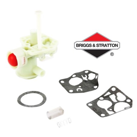 Carburateur BRIGGS & STRATTON - 794061