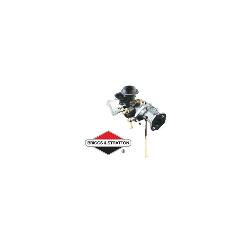 Carburateur BRIGGS & STRATTON - 397135