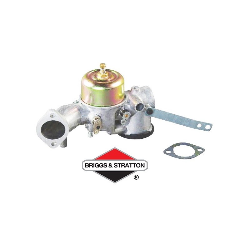 Carburateur BRIGGS & STRATTON - 491031