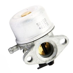 Carburateur BRIGGS & STRATTON - 790978