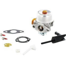 Carburateur BRIGGS & STRATTON - 591299