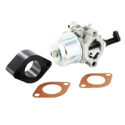 Carburateur BRIGGS & STRATTON - 715783