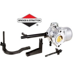 Carburateur BRIGGS & STRATTON - 591378