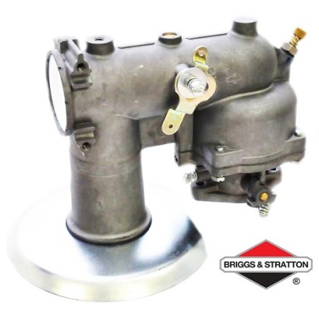 Carburateur BRIGGS & STRATTON - 391073