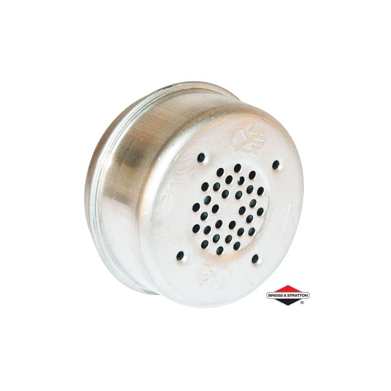 Échappement BRIGGS & STRATTON - 394569S