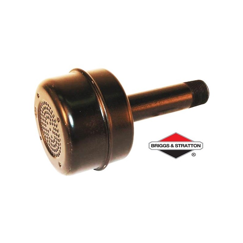 Échappement BRIGGS & STRATTON - 391569S