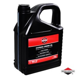 Huile de Moteur BRIGGS & STRATTON SAE30 - 5L