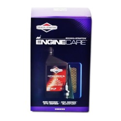 Kit d'Entretien BRIGGS & STRATTON - SÉRIE 600, QUANTUM