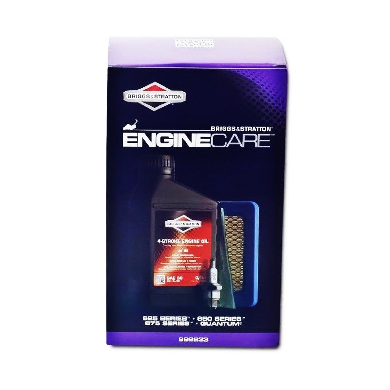 Kit d'Entretien BRIGGS & STRATTON - SÉRIE 600, QUANTUM