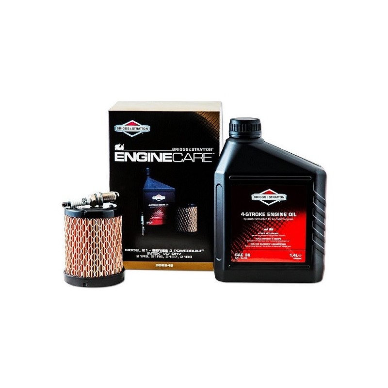 Kit d'Entretien BRIGGS & STRATTON - SÉRIE 3 Modèle 21