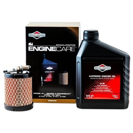 Kit d'Entretien BRIGGS & STRATTON - SÉRIE 3 Modèle 21