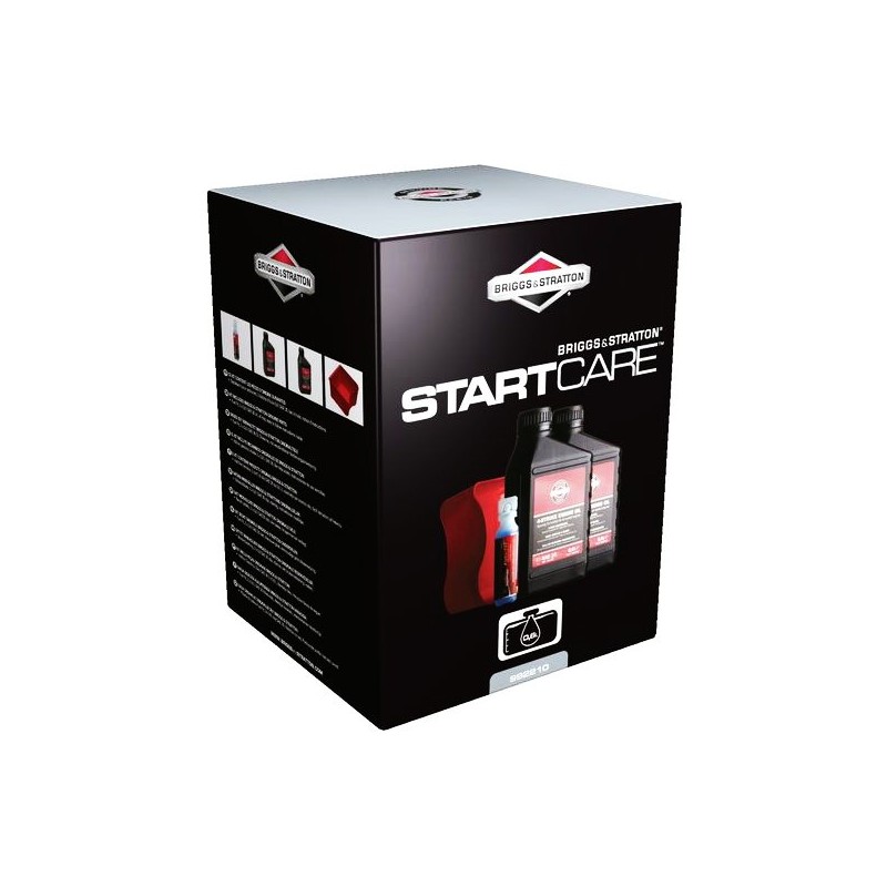 Kit d'Entretien BRIGGS & STRATTON 5 HP