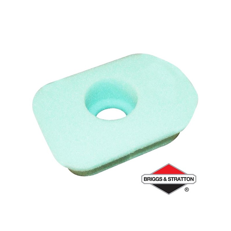 Filtre à Air BRIGGS & STRATTON - 270579S