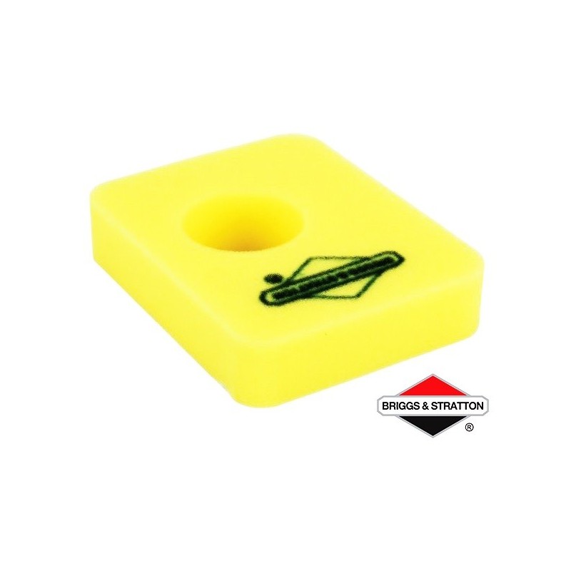 Filtre à Air BRIGGS & STRATTON - 799579