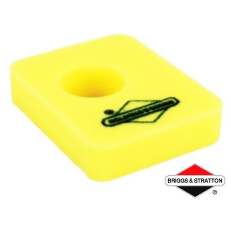 Filtre à Air BRIGGS & STRATTON - 799579