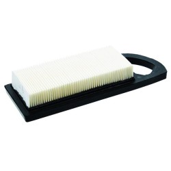 Filtre à Air BRIGGS & STRATTON - 797008