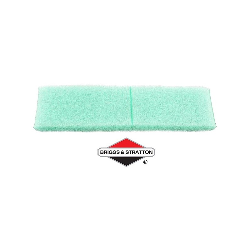 Pré-Filtre BRIGGS & STRATTON - 793676
