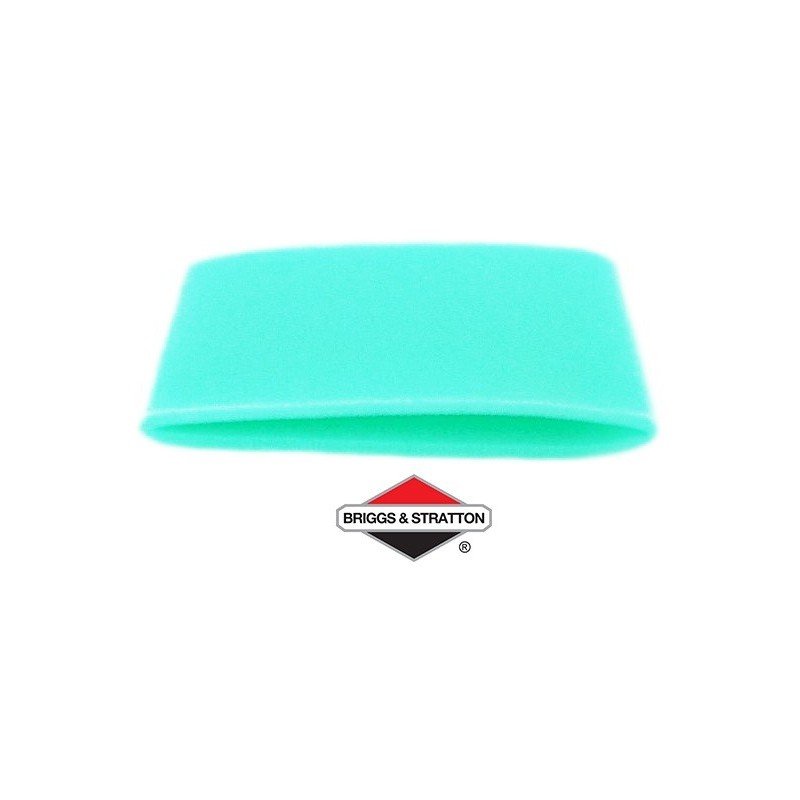 Pré-Filtre BRIGGS & STRATTON - 798795