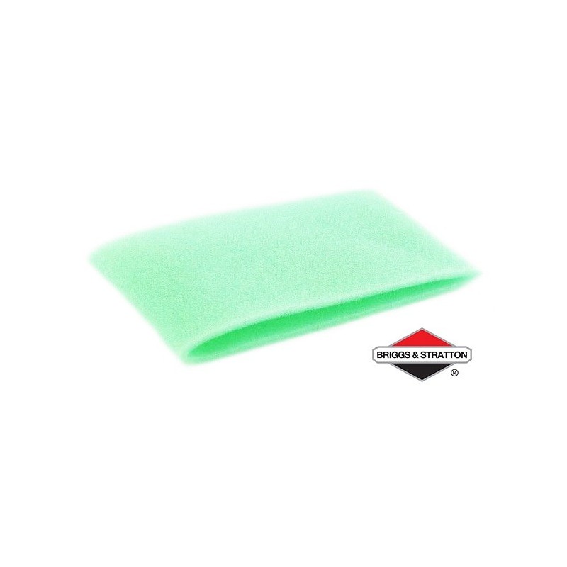 Pré-Filtre BRIGGS & STRATTON - 695303