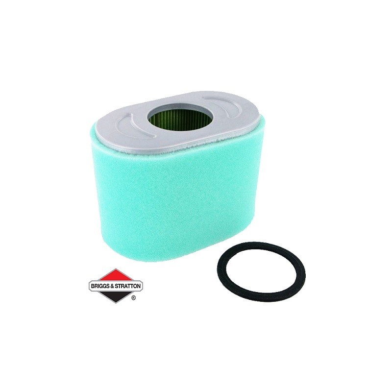 Filtre à Air BRIGGS & STRATTON - 797032